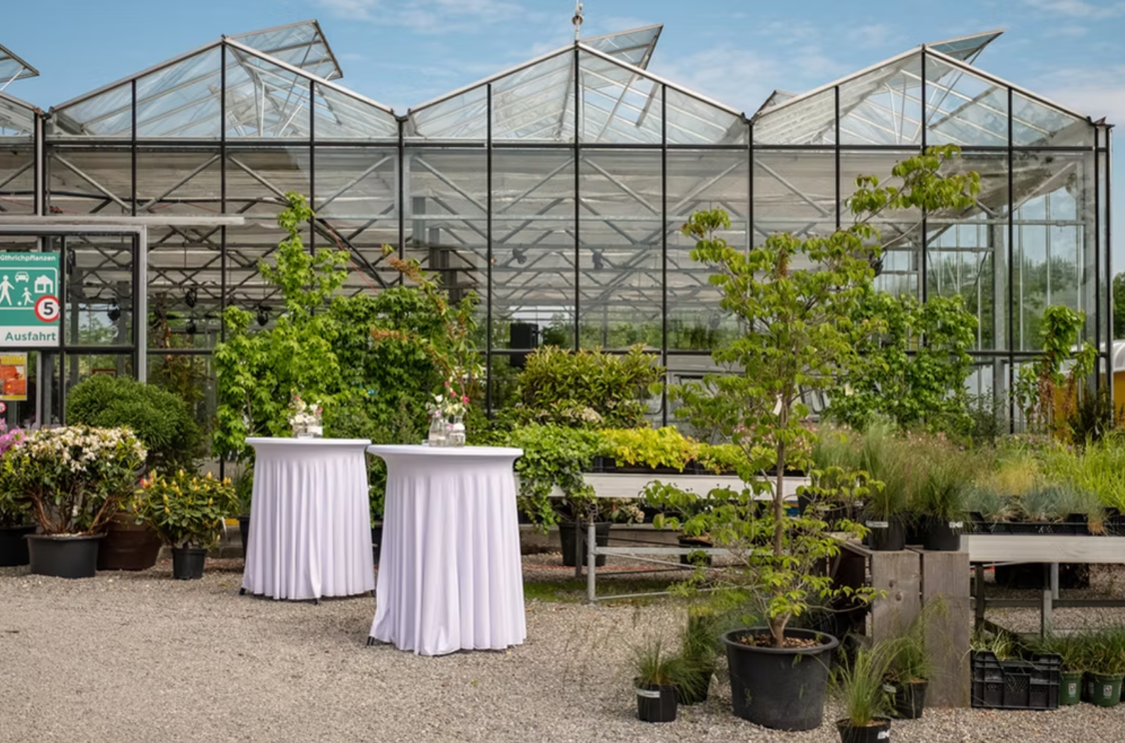 Gedeckte Tafel im begrünten Eventgarten