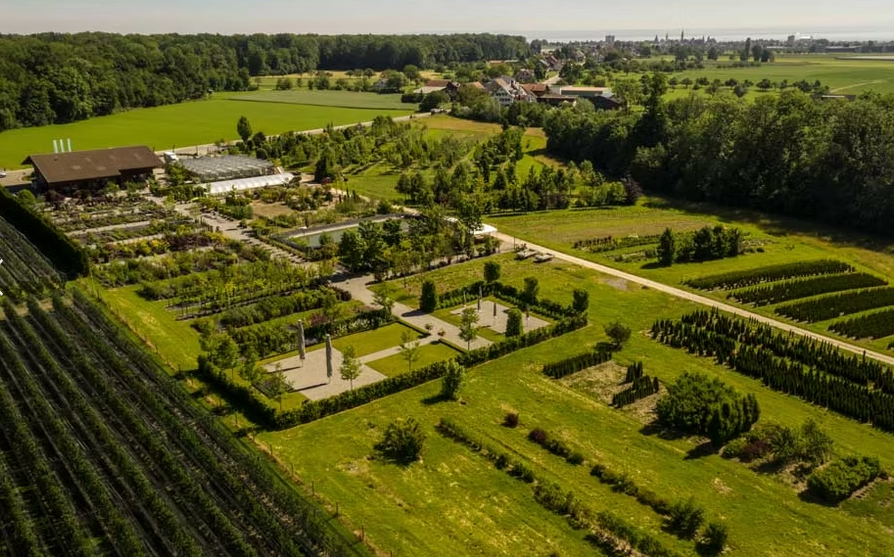 Luftaufnahme der Pflanzenflächen von Wüthrich Pflanzen